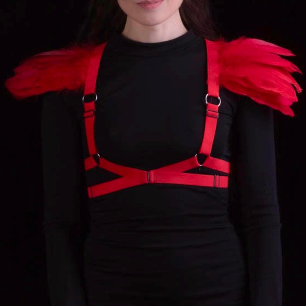 YES!!  Red Feather Harness